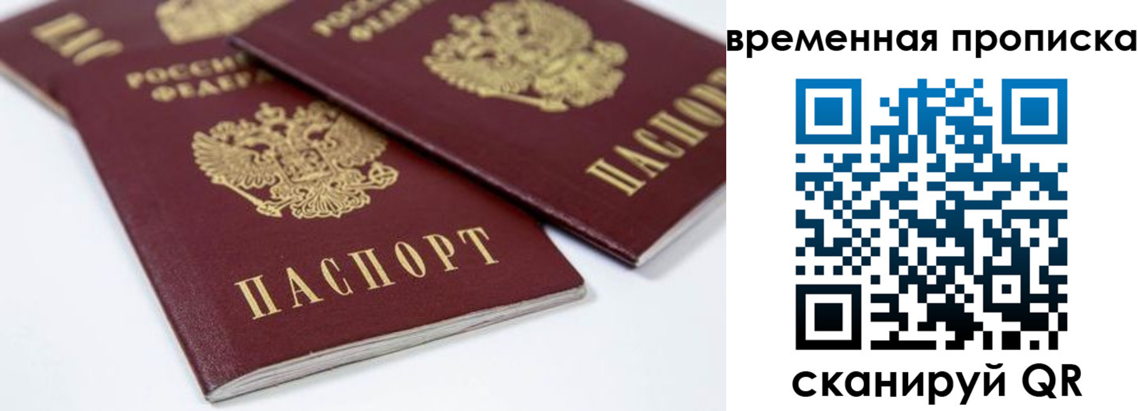 прописка для школы в Советской Гавани